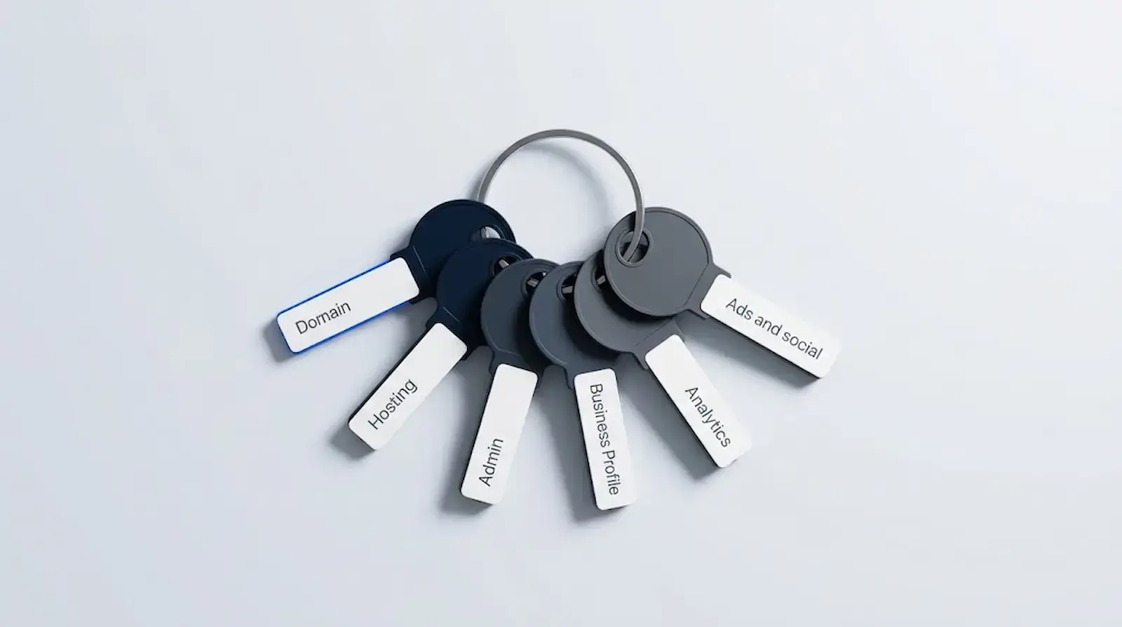 Key ring with six keys labeled Domain, Hosting, Admin, Business Profile, Analytics, and Ads and social